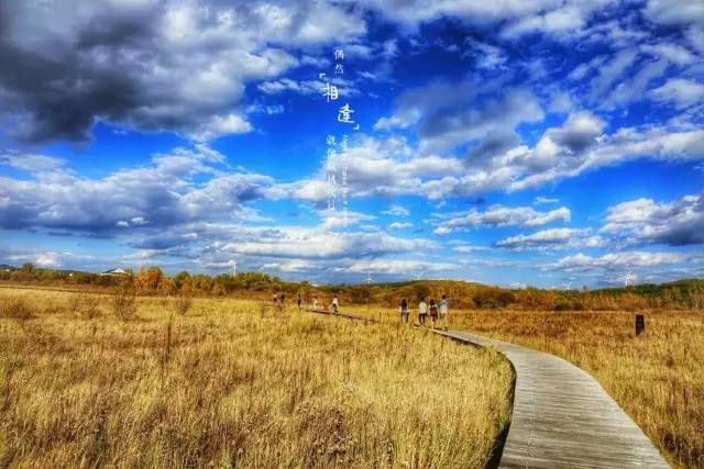 yin语视频 这些内容既能丰富精神世界