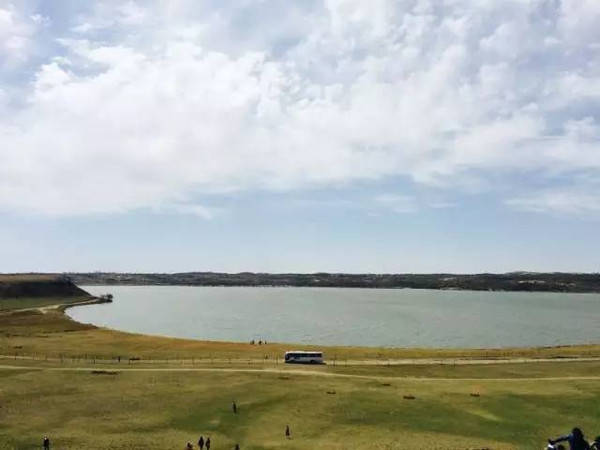 经典的啄木鸟 适应性：头部有减震结构