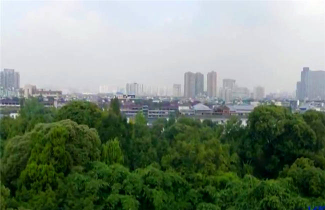 小马 sex 小马我非常乐意为你提供帮助