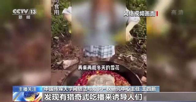 海角社区免费观看完整版 安全性与法律合规性
