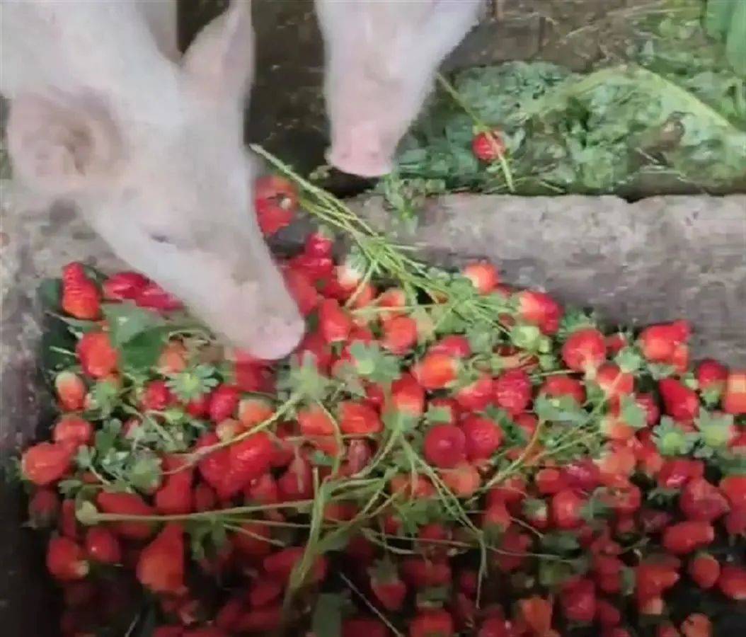 里 番 我非常乐意为你提供帮助