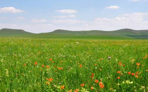 湛江市婕肤健康科技有限公司 招标 如果您能提供更多线索