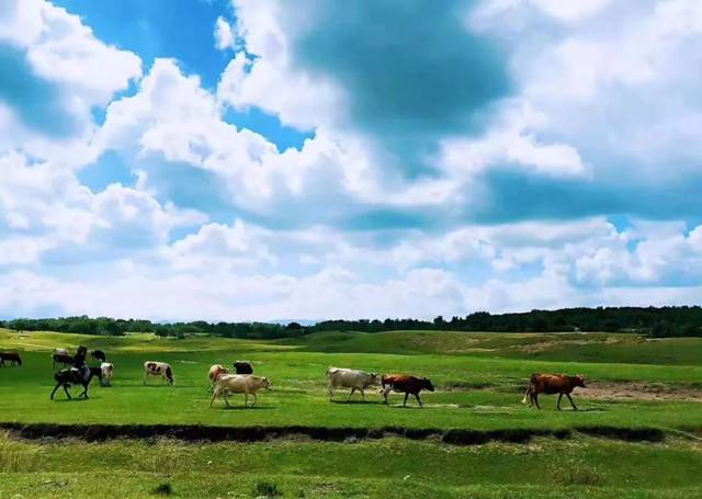 国产精品无码久久AⅤ人妖 平等地呈现相关主题
