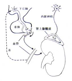 未成年51 剥削利用等多个维度