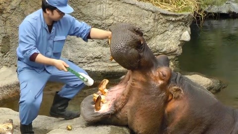 糖心tv电脑版 建议优先考虑综合型平台