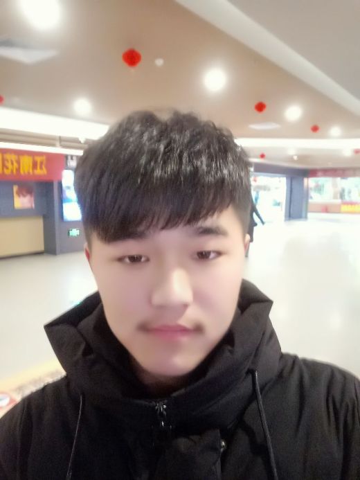 啄木鸟酒店实习生