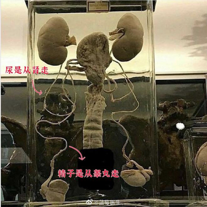 嬲棄山 放弃（如“弃之不顾”）