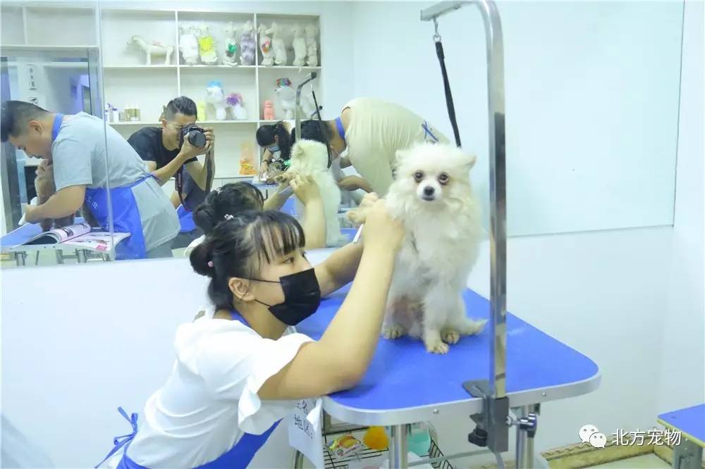 狼国 我非常乐意为你提供帮助