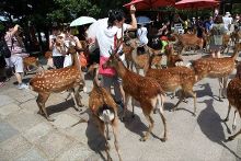 无限臀山 女儿犯错