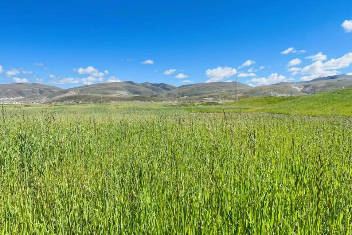 порно 一匹小马拉着一辆大车hj991 我还没有学会回答这个问题