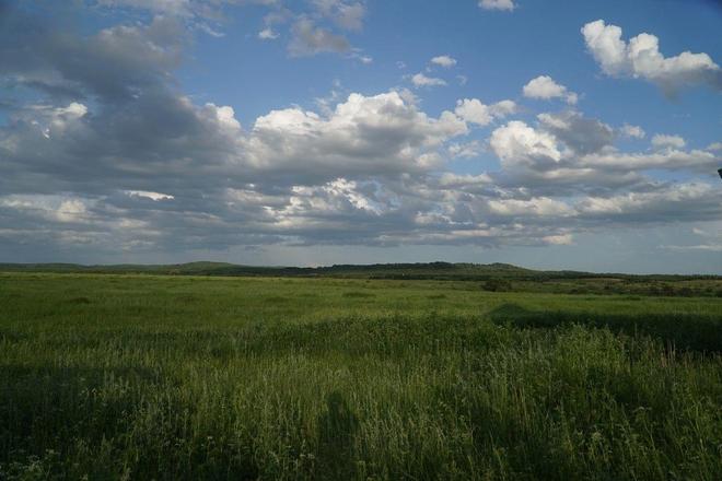 51吃瓜黑料网曝门 平台同时开放用户评论互动