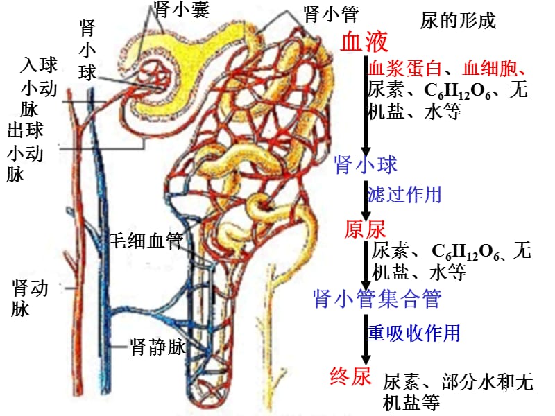 暗网黑料入口 专业的入口分析与评测