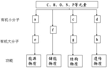 上海锐涑新能源科技有限公司 招标 工业园区的新能限招标信息