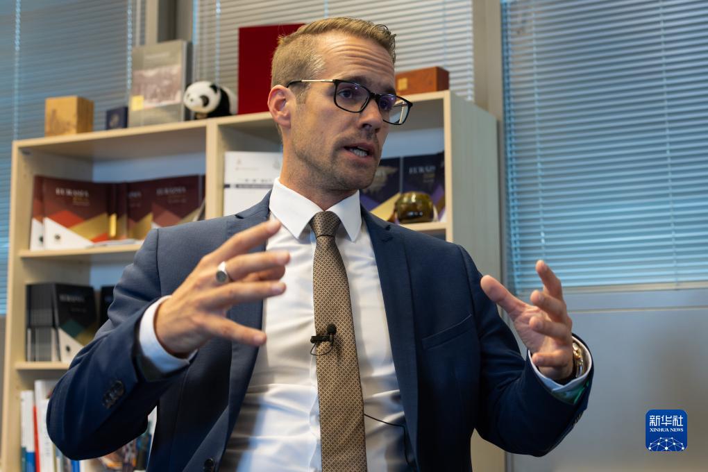 zmlvm.cn 与这个域名相关的信息