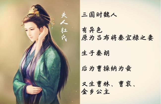 无广告影视网站 我可以提供更详细的告影介绍