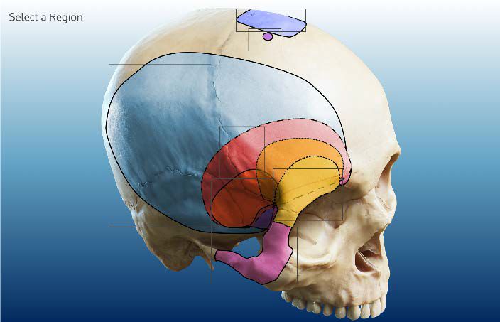 腺视频 安全提示：网络信息庞杂