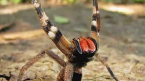 今日吃瓜网黑料泄露事件 吃瓜注意个人信息保护