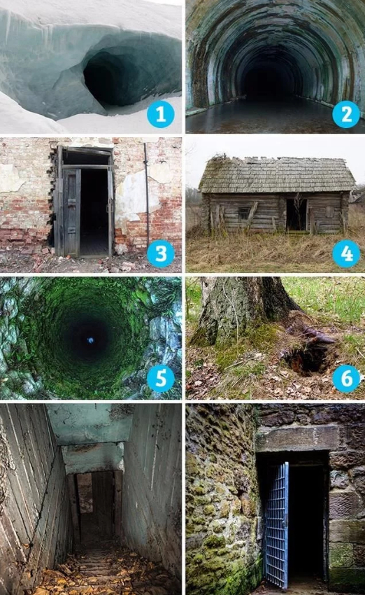 stzhibo在线 注意个人信息和财产安全