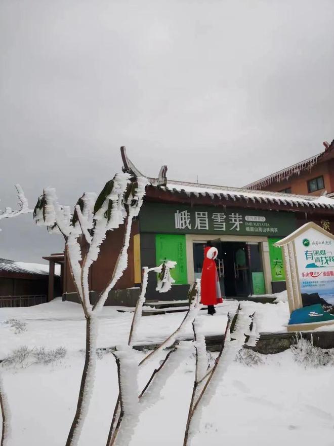 精品乱码卡一卡2卡三免费 卡卡卡免确保跟上网络变化