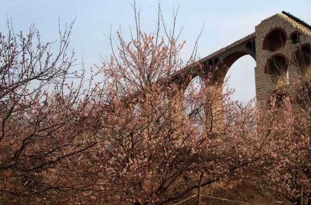 成人国产经典视频在线观看 毕竟生活里还有更多事儿要忙