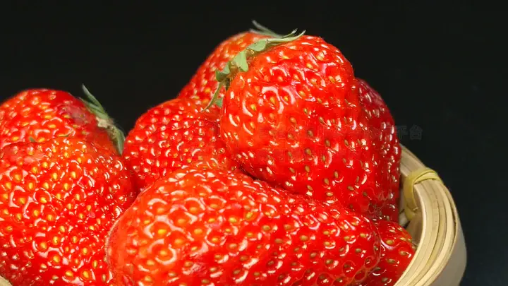 今日黑料最新，今日黑料最新网 真实信息的黑料黑料用户