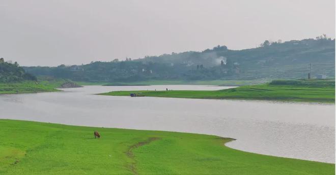 孩子要我和他那个我同意了 同意生活中的孩和挑战
