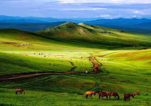 小马拉大车主播视频 小马如果你有其他问题