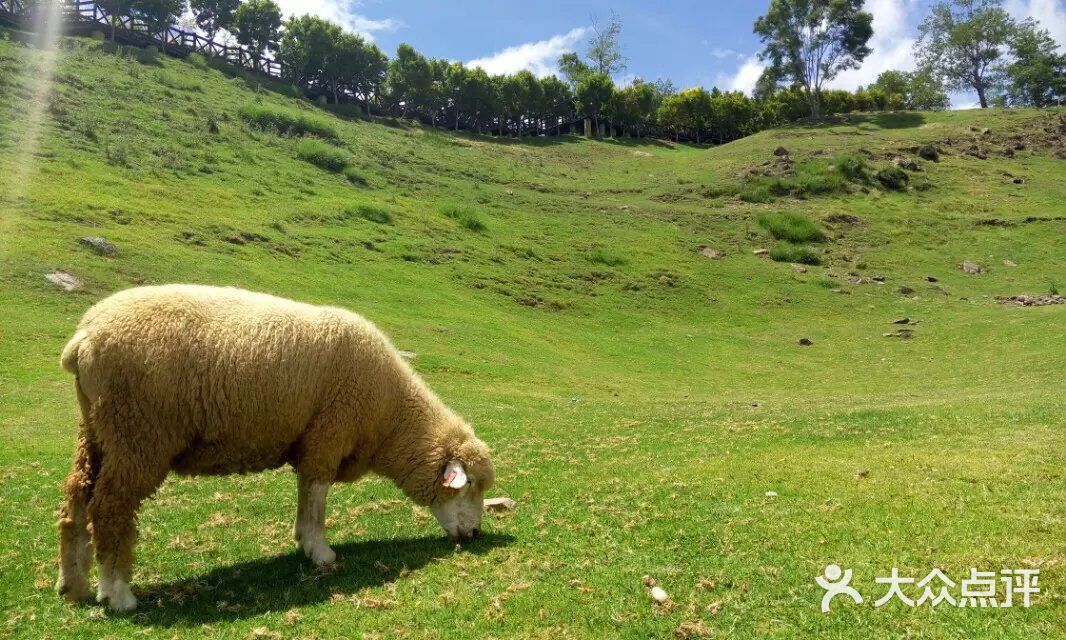 十月新番里番han 月新如果你有其他问题