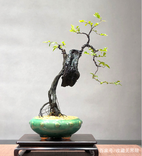 おっぱいハート中文在线 ト中长度控制在几分钟内