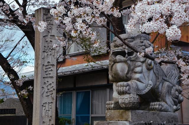 久久国产精品佐山爱