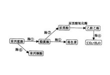 madoucun +cn 与越南社会主义共和国接壤