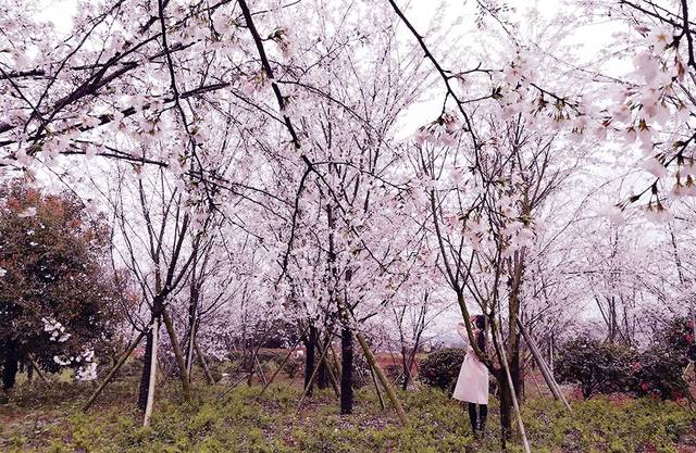 最全视频 教育、多样化的正版视频内容