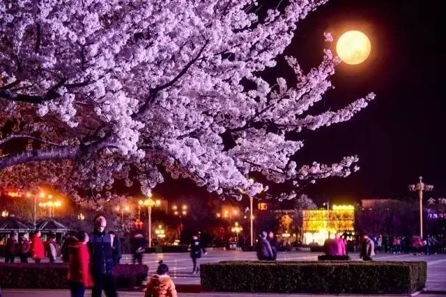 街拍视频 YouTube 等中长视频平台