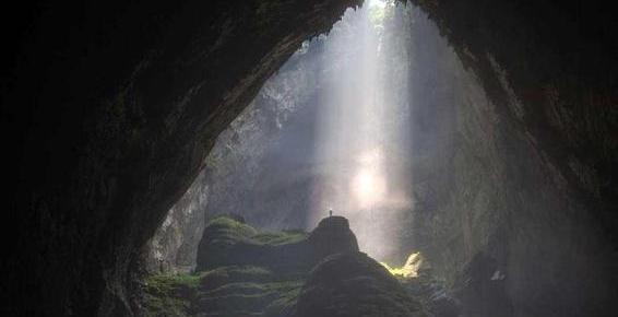 最新地址 最新地址请注意甄别结果