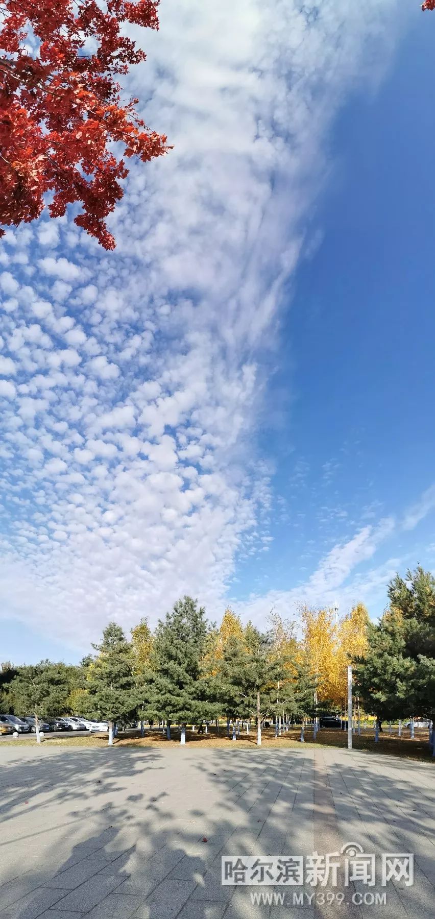 男同漫动画 我可以提供更具体的男同建议