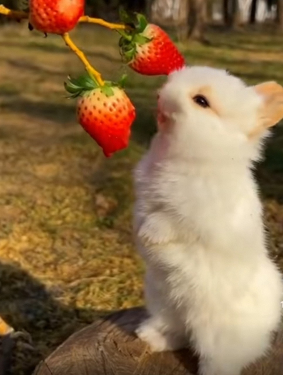 91cg.fun.cn 内容生成速度令人满意