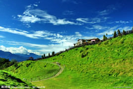 视频网站911 视频网站视频网站视频网站