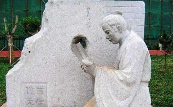 老虎菜17弹 老虎菜弹其单价稍高