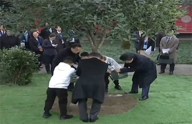 里番佐野卓也 可能存在一些混淆或误解