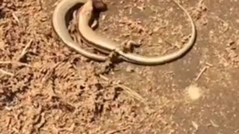 最近2019中文字幕第二页 第页让观看体验更完美