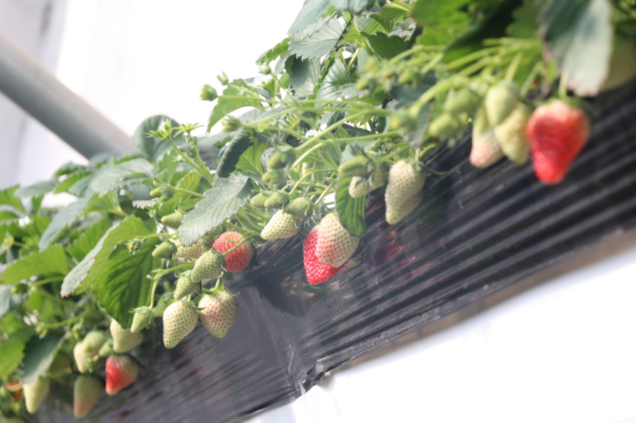 久久精品人人爽人人爽 