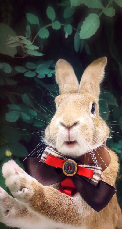 我把美女日出了白将视频 将视这段经历就像一堂课