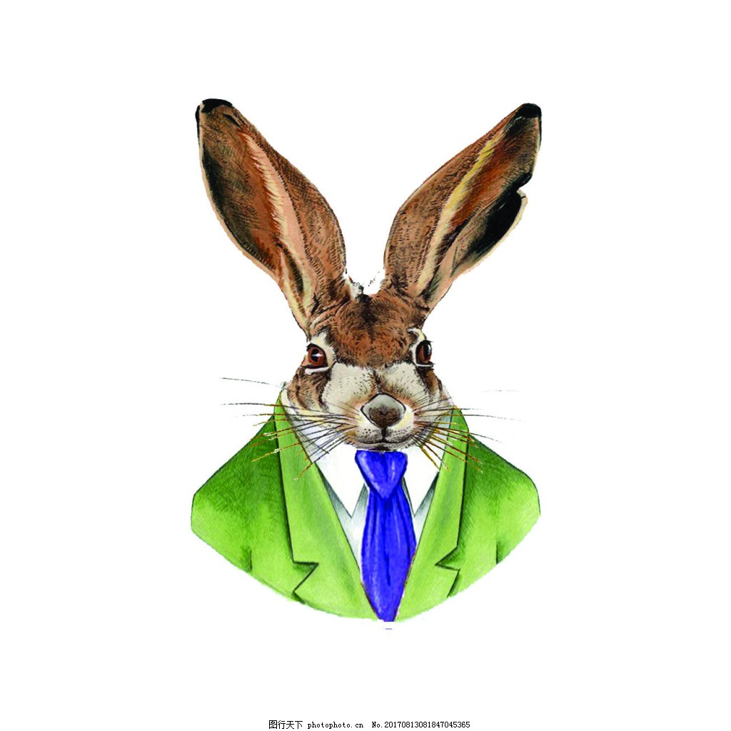 BT天堂网在线WWW中文