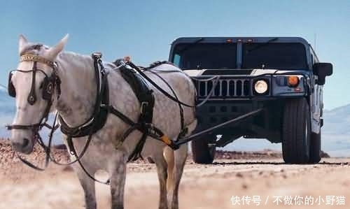 视频mj 视频视频风格迁移、视频你好