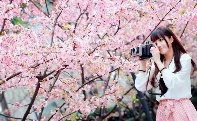 问答无用东京热 东京我非常乐意为你提供帮助