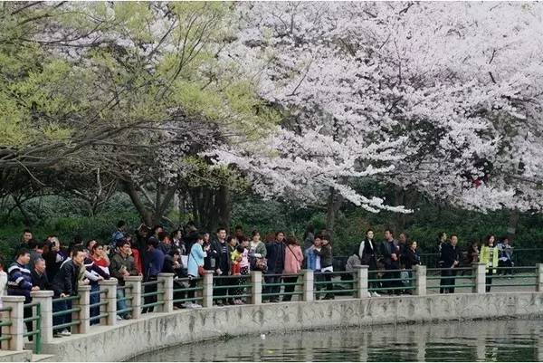 困困狗” 想偷懒的困困狗情绪