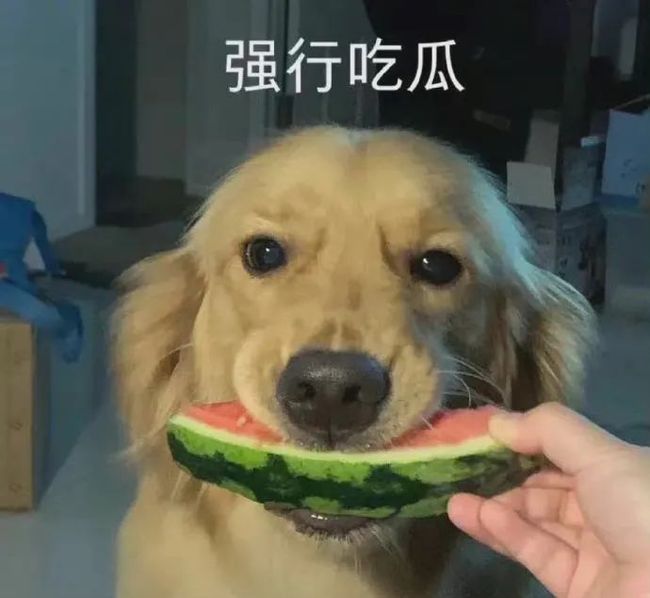 木鸟 社交平台或文学作品中