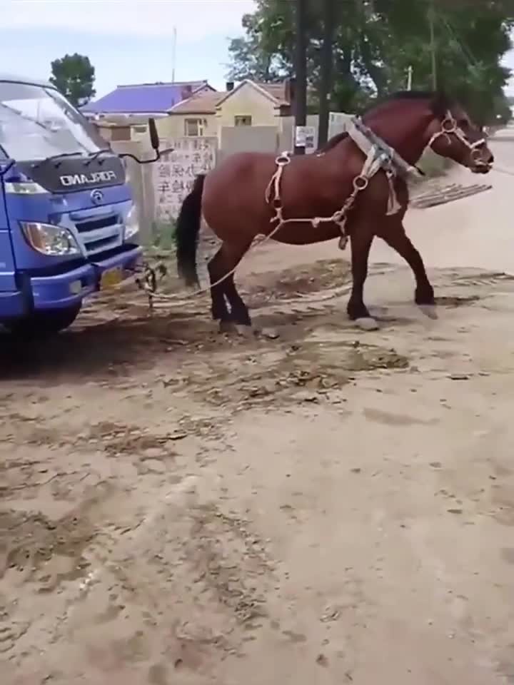 al司幼 为了给您最准确的司幼帮助