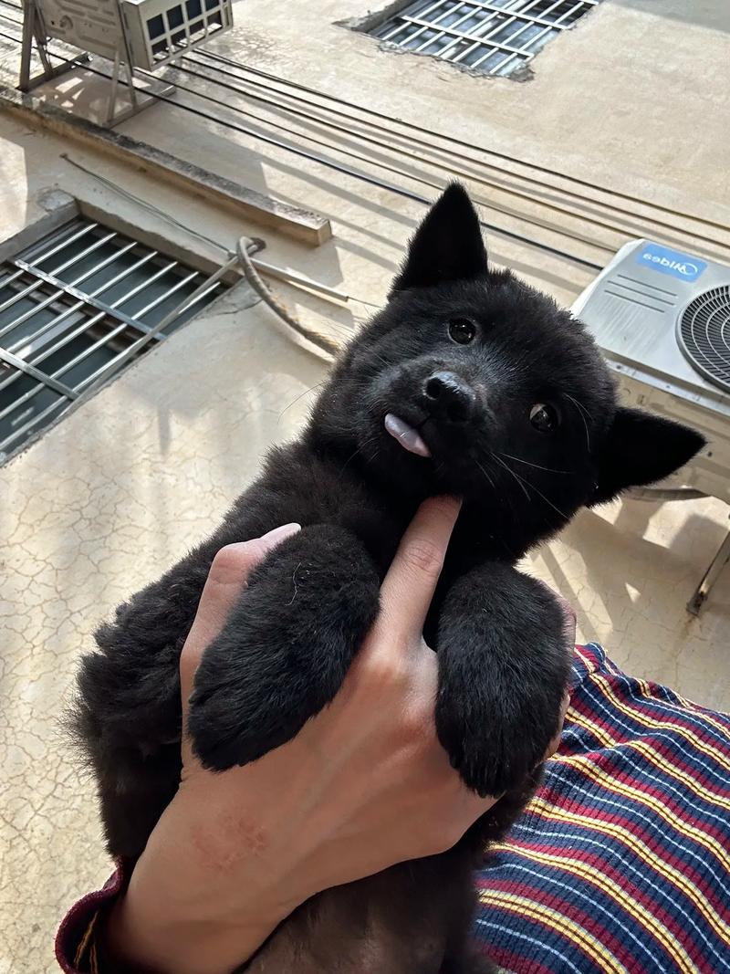 每日看片 既娱乐又能增长知识