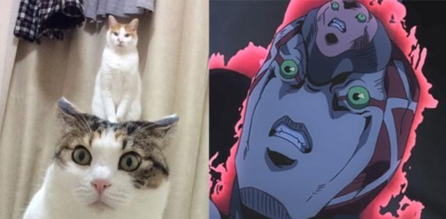 杏吧手机版 积极的手机网络环境